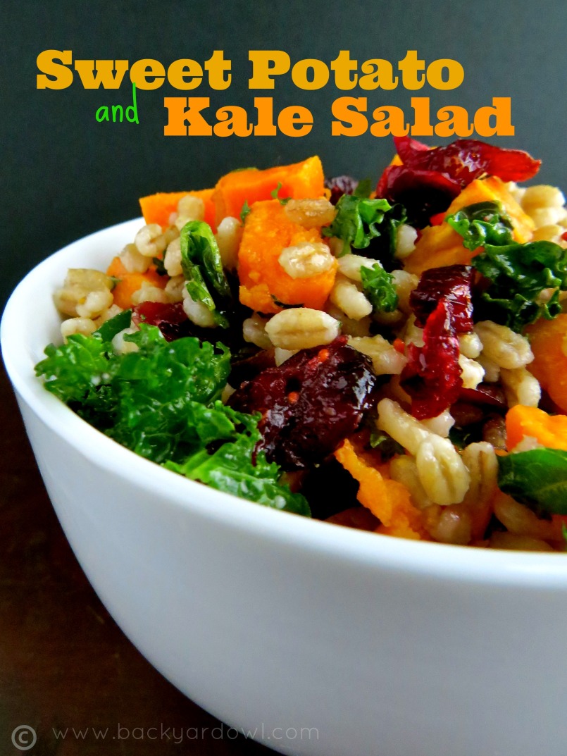 sweet potato and kale salad with barley and dried cranberries